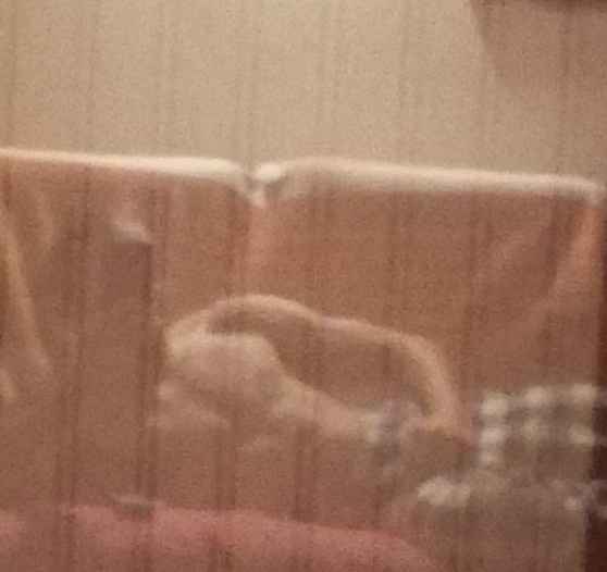 Profil de Amyn, 22 ans, Sex Rencontre à Jeuss